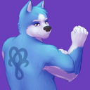sapphirewolf1993 avatar