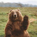 sarcasm-ismy-onlydefense avatar