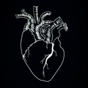 sarcastic---girl avatar