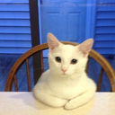 sarcasticbutfun avatar