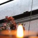 sarcasticfangirl98 avatar