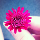 sarcasticgirl007 avatar