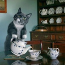 sarcasticjellyfish avatar