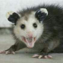 saskia-makes-stuff avatar