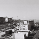 saskiaryanfilm avatar