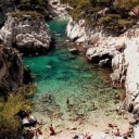 sassafras-manson avatar