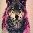 sassandstyle314 avatar