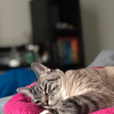 sassysleeplord avatar