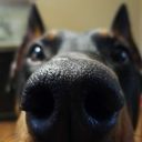 satanscuddlebuddy avatar