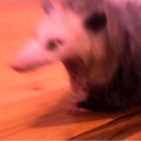 satanssister16 avatar