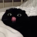 saudi-barbiiee avatar