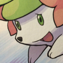 sausagezeldas avatar