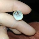 save-the-world-tonight avatar