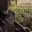 savethebeesdamnit avatar