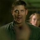 saviour-alpacas avatar