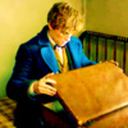 scamander-newton avatar