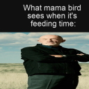 scared-science-team avatar