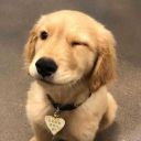 scareddcatttx avatar