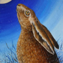 scaredhare-blog avatar