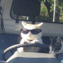 scaredsquirrelz avatar