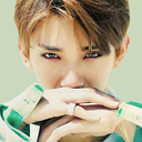 scaredycatseungcheol avatar