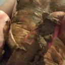 scat-bzh-france avatar