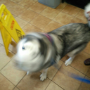 scatter-minded001 avatar