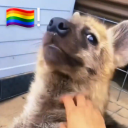 schrodingers-catboy750 avatar