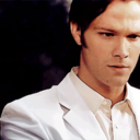 schrodingers-fallen-angel avatar