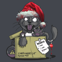 schrodingerwasadicktocats avatar