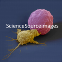 sciencesourceimages avatar