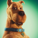 scoobydoosuggestion avatar