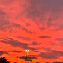 scornfultigercaldera avatar