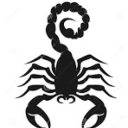 scorpiostarseed avatar