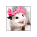 scramblema-am avatar