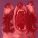 screamindoge avatar