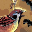 screaming-sparrow avatar