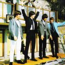 screamingcorgis avatar