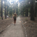 screechingcrow avatar