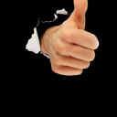 screechingkingfart avatar