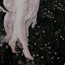 screenintroductions avatar