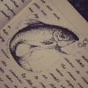 scribbling-salmon avatar