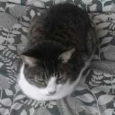 scriptythelonely avatar