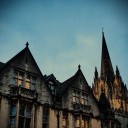 scrumdiddlywhumptious avatar