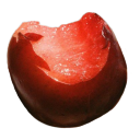 scummanifestopdf avatar