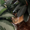 seanagain-offagain avatar