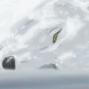 search-for-paradise avatar