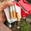 searching4muse avatar