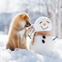 seasonal-postss avatar