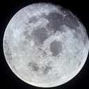 secluded-and-deluded avatar